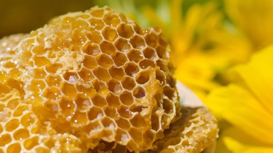 Bagaimana cara minum propolis sebelum atau sesudah makan